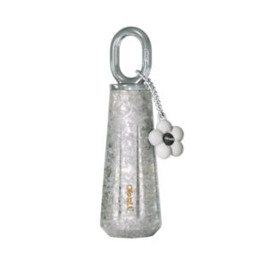 The Dopamine Goddess Titanium Bottle Silver